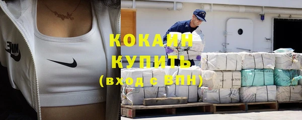 стаф Балахна