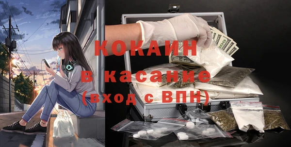 стаф Балахна