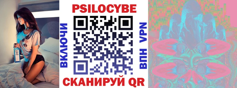 продажа наркотиков  Балей  Псилоцибиновые грибы Psilocybe 